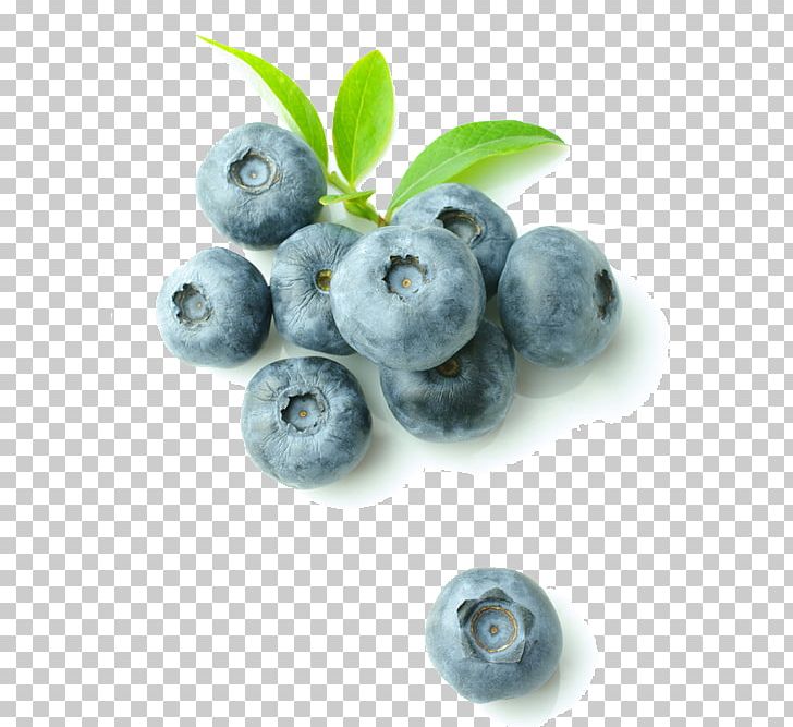 Blueberry Food Refrigerator Bilberry Wine Cooler PNG, Clipart, Berry, Bilberry, Blueberries, Blueberry, Blueberry Tea Free PNG Download