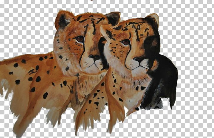 Cheetah Tiger Whiskers Cat Fur PNG, Clipart, Animal, Animals, Big Cat, Big Cats, Carnivoran Free PNG Download