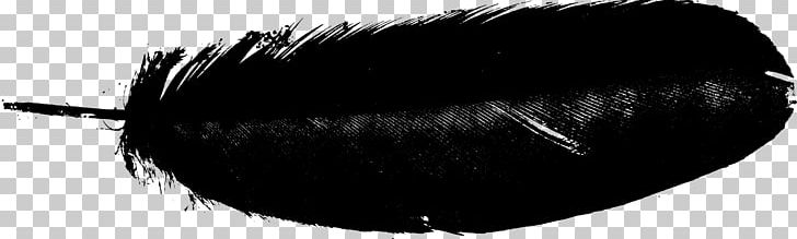 Feather Drawing PNG, Clipart, Animals, Black, Black And White, Brush, Byte Free PNG Download