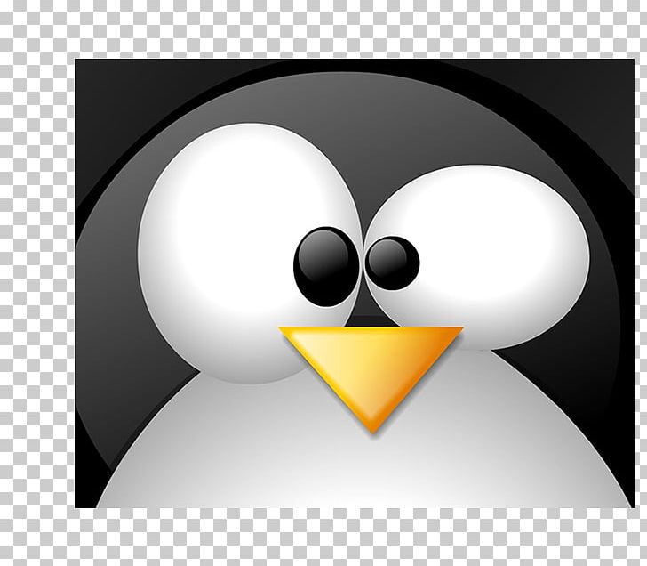 Penguin Tux Racer Desktop Linux PNG, Clipart, Beak, Bird, Computer Software, Computer Wallpaper, Desktop Environment Free PNG Download