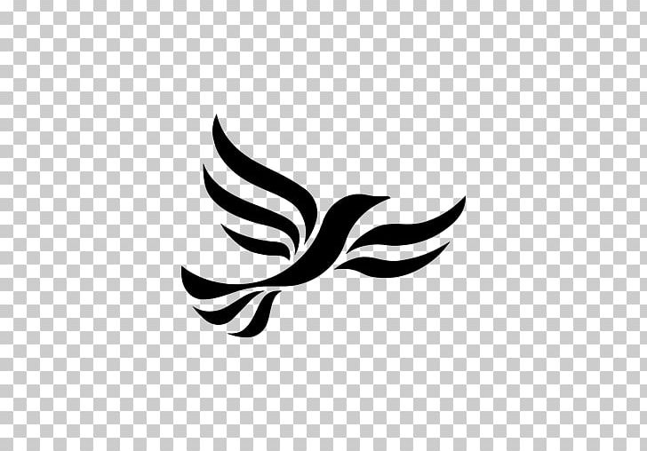 Portsmouth Liberal Democrats Liberal Party Leader Of The Liberal Democrats Liberalism PNG, Clipart, Bird, Black, Black And White, Branch, Democratic Party Free PNG Download