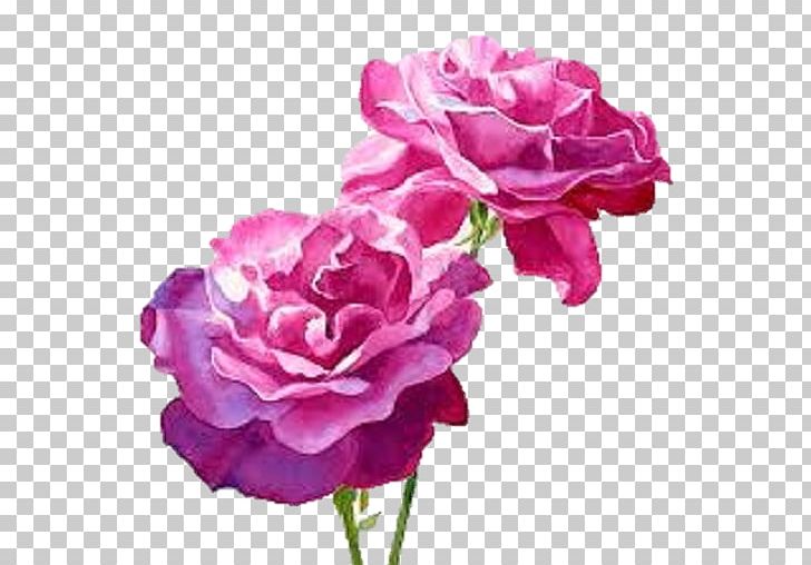 Still Life: Pink Roses Watercolour Flowers Watercolor Painting PNG, Clipart, Annual Plant, Art, Artificial Flower, Blossom, Canvas Free PNG Download
