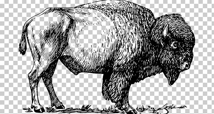 American Bison PNG, Clipart, Amer, Art, Bison, Black And White, Bull Free PNG Download