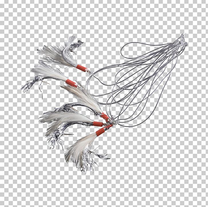 Tail Feather PNG, Clipart, Animals, Feather, Mackerel, Tail, Wing Free PNG Download