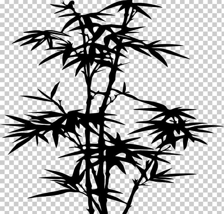 Bamboo PNG, Clipart, Bam, Bambu, Black And White, Branch, Coloring Pages Free PNG Download