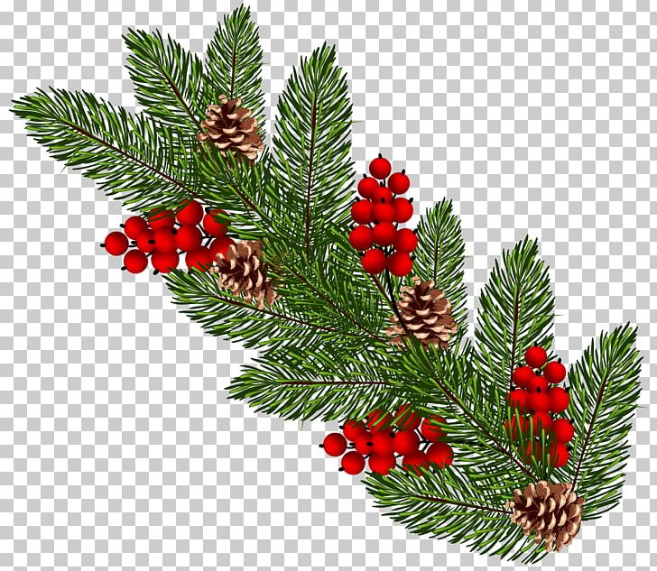 Christmas Ornament PNG, Clipart, Aquifoliaceae, Branch, Christmas, Christmas Clipart, Christmas Decoration Free PNG Download