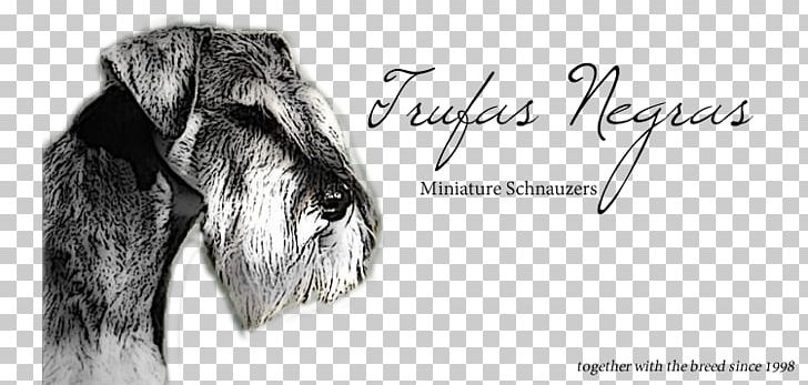 Dog Breed Miniature Schnauzer Snout Périgord Black Truffle PNG, Clipart, Angle, Black, Black And White, Black Truffle, Brand Free PNG Download