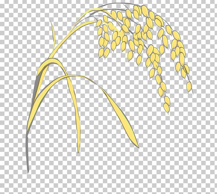 Grasses Rice PNG, Clipart, Artworks, Branch, Cereal, Flower, Grass Free PNG Download