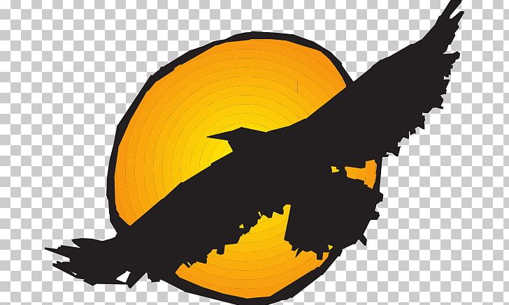 Hawk Flight Eagle PNG, Clipart, Artwork, Beak, Bird, Drawing, Eagle Free PNG Download