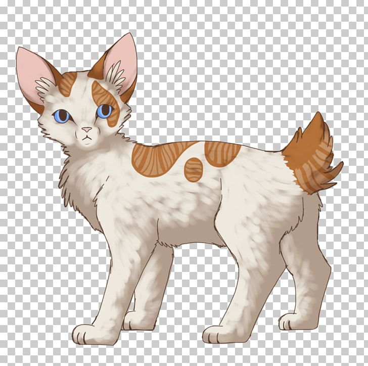 Kitten Whiskers Japanese Bobtail American Bobtail Donskoy Cat PNG, Clipart, Animal Figure, Animals, Bobtail, Breed, Calico Cat Free PNG Download
