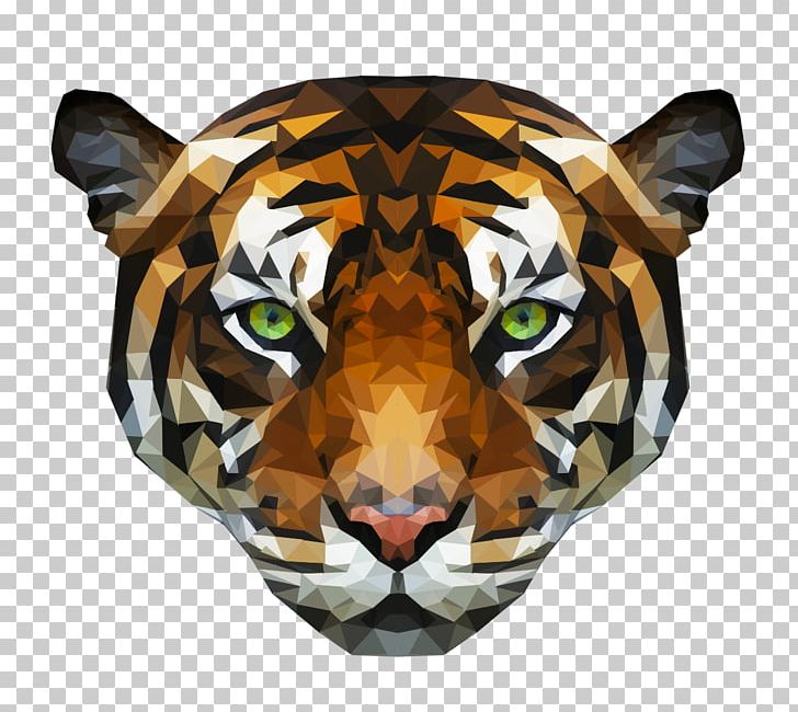 Tiger Photography PNG, Clipart, Animal, Animals, Art, Big Cats, Carnivora Free PNG Download