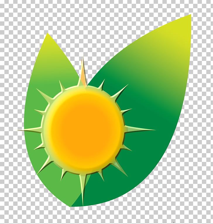 Carib Sun Energy Solar Power Photovoltaic System Graphics Carib People PNG, Clipart, Carib People, Company, Fruit, Green, Home Page Free PNG Download
