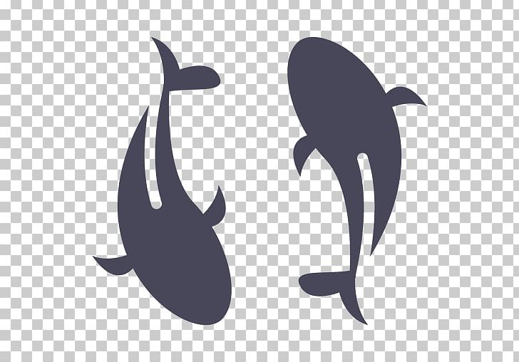 Koi Dolphin Goldfish PNG, Clipart, Animals, Carp, Common Carp, Computer Icons, Dolphin Free PNG Download