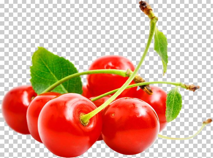 Cerasus Sweet Cherry Sorbet PNG, Clipart, Acerola Family, Adobe Premiere Pro, Cherry, Currant, Food Free PNG Download
