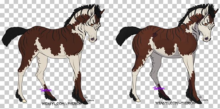 Foal Mustang Stallion Mare Pony PNG, Clipart, Animal Figure, Bridle, Cartoon, Colt, Foal Free PNG Download