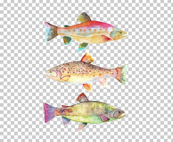 Watercolor Painting Art Koi Fish PNG, Clipart, Art, Drawing, Fish, Fishing Bait, Fish Products Free PNG Download