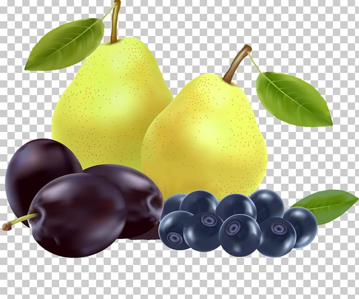Fruit Euclidean Pear Illustration PNG, Clipart, Bilberry, Cartoon, Citrus, Common Plum, Creative Free PNG Download