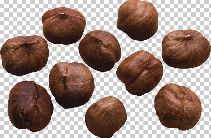 Hazelnut Chinese Chestnut Nuts Cashew PNG, Clipart, Almond, Cashew, Chestnut, Chinese Chestnut, Desktop Wallpaper Free PNG Download