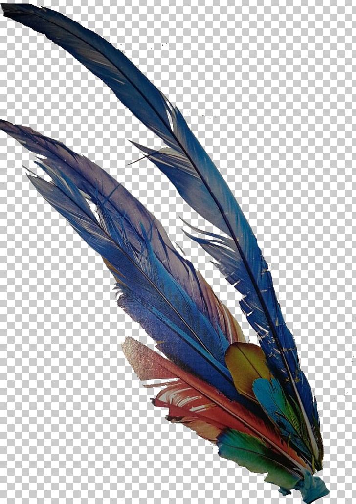 Macaw Cobalt Blue Feather Beak Wing PNG, Clipart, Animals, Ashtanga Vinyasa Yoga, Beak, Bird, Blue Free PNG Download