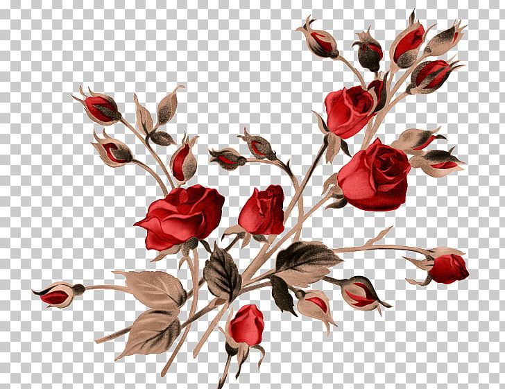 Painting Rose PNG, Clipart, Branch, Cut Flowers, Download, Encapsulated Postscript, Flower Free PNG Download