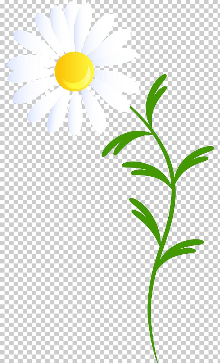 Paper Painting Decoupage PNG, Clipart, Art, Artwork, Askartelu, Camomile, Common Daisy Free PNG Download