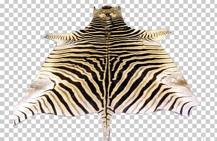 Zebra Fur Neck Terrestrial Animal Wildlife PNG, Clipart, Animal, Fur, Horse Like Mammal, Mammal, Neck Free PNG Download
