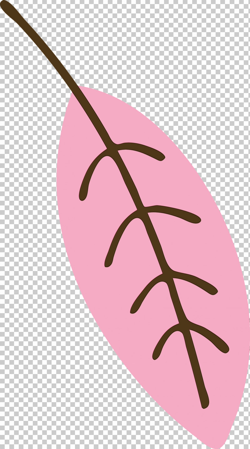 Leaf Pink M Font Line Biology PNG, Clipart, Biology, Leaf, Line, Paint, Pink M Free PNG Download