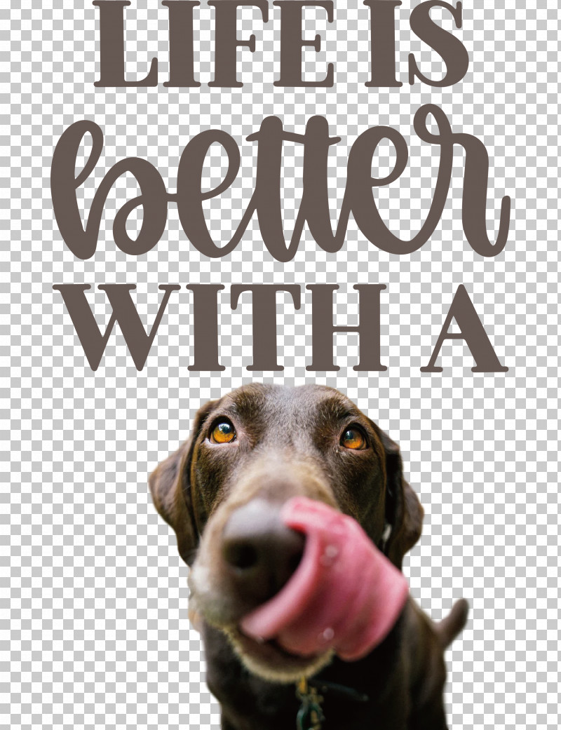 Life Better PNG, Clipart, Better, Biology, Breed, Crossbreed, Dog Free PNG Download
