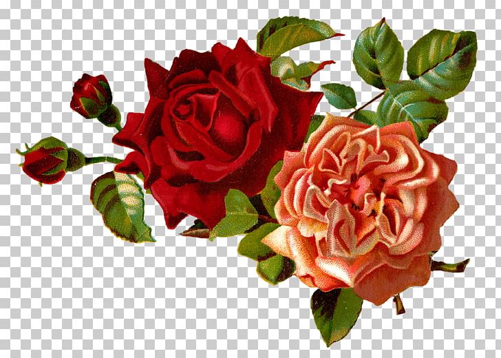 Flower Rose Floral Design PNG, Clipart, Artificial Flower, Cut Flowers, Digital Image, Floral Design, Floribunda Free PNG Download