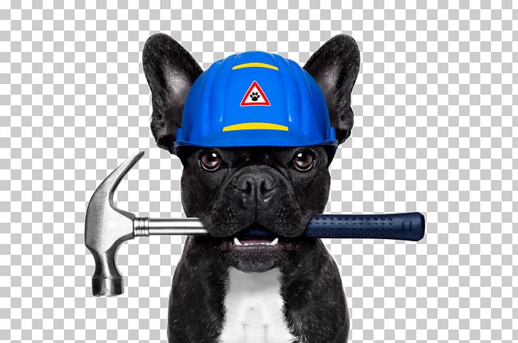 French Bulldog Dog Daze Industrial Plumbing Stock Photography PNG, Clipart, Animals, Bathroom, Bulldog, Carnivoran, Creative Ads Free PNG Download