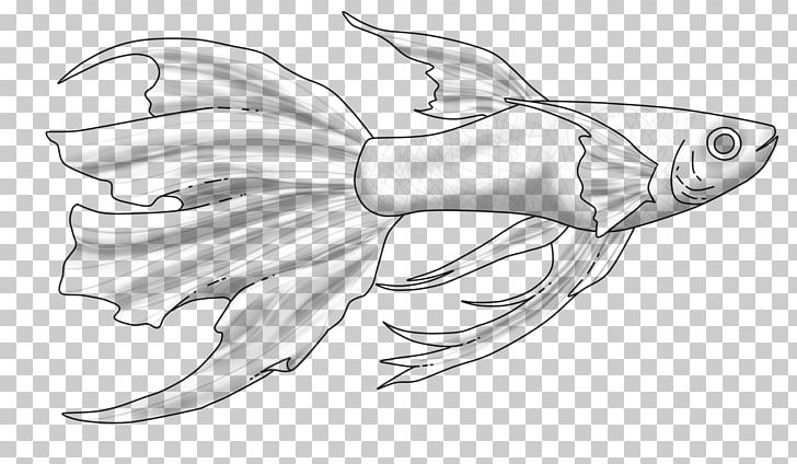 Guppy Fish This Is Not For Free Marine Biology Sketch PNG, Clipart, 5 January, Artwork, Biology, Black And White, Deviantart Free PNG Download