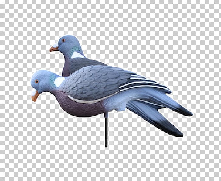 Pigeons And Doves Decoy Common Wood Pigeon Hunting Stock Dove PNG, Clipart, Bag, Beak, Bird, Box, Camouflage Free PNG Download