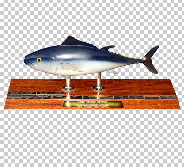 Primary Industries And Regions South Australia Trophy Fishing Game Fish PNG, Clipart, Angler, Angling, Australia, Award, Fin Free PNG Download