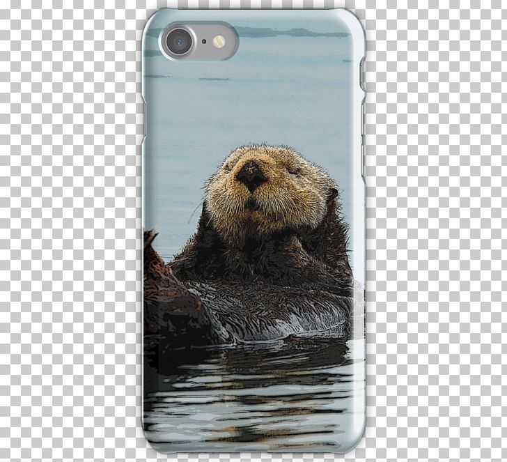 Sea Otter IPhone 7 Mouse Mats Alaska IPhone 6S PNG, Clipart, Alaska, Beaver, Carnivoran, Computer Mouse, Fauna Free PNG Download