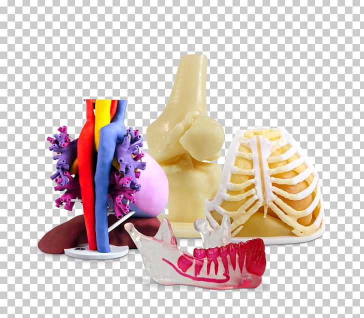 Anatomy 3D Printing Human Body Surgery Physiology PNG, Clipart, 3d Printing, 3d Systems, Anatomy, Envisiontec, Human Body Free PNG Download