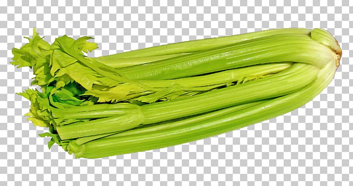 Celery Raw Foodism Vegetarian Cuisine Romaine Lettuce PNG, Clipart, Apium, Celery, Choy Sum, Food, Food Storage Free PNG Download