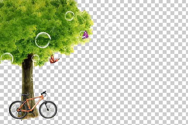 Green Poster Fukei Tree PNG, Clipart, Advertising, Bicycle, Bikes, Bike Vector, Biking Free PNG Download