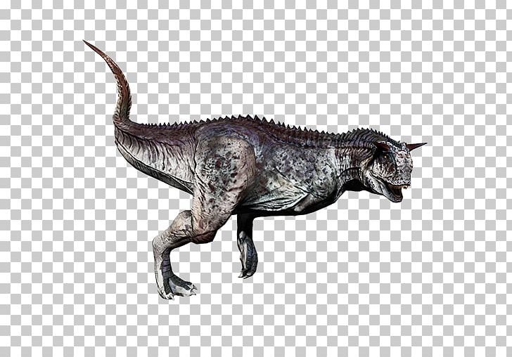 Tyrannosaurus Carnotaurus ARK: Survival Evolved Primal Carnage: Extinction Acrocanthosaurus PNG, Clipart, Animal Figure, Ark Survival Evolved, Carnage, Carnivore, Carnosauria Free PNG Download