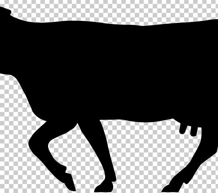 Angus Cattle Beef Cattle Jersey Cattle English Longhorn Ox PNG, Clipart, Agriculture, Angus Cattle, Animals, Beef Cattle, Black Free PNG Download