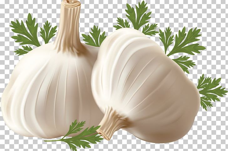 Garlic Breath Onion PNG, Clipart, Allicin, Alliin, Alliinase, Computer Icons, Food Free PNG Download