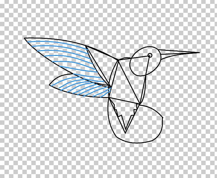 Hummingbirds Of Costa Rica Drawing Line Art Sketch PNG, Clipart, Angle, Area, Art, Artwork, Bird Free PNG Download