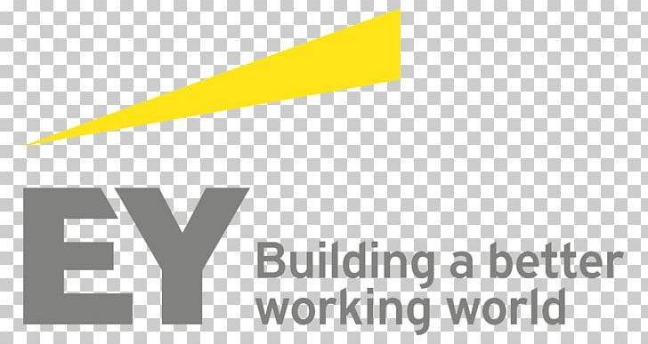 Logo Ernst & Young Solutions LLP Audit Report PNG, Clipart, Angle, Area, Audit, Brand, Business Free PNG Download