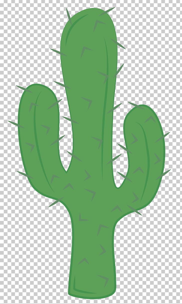 Cacto verde, desenho de Cactaceae Saguaro, Arizona Cowboy s, mão, planta  Haste, cacto png
