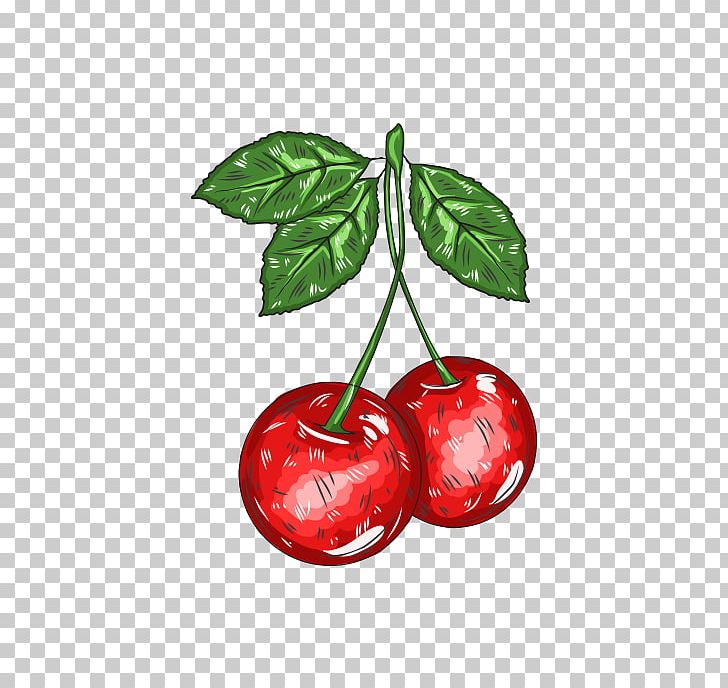 Cherry Cartoon Adobe Illustrator PNG, Clipart, Cherry Blossoms, Cherry Vector, Encapsulated Postscript, Food, Fruit Free PNG Download