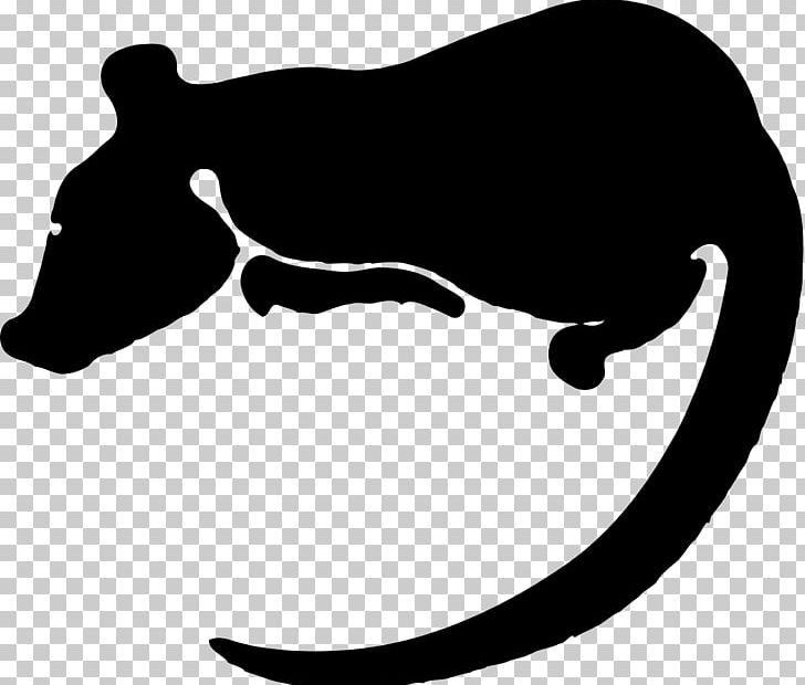 Laboratory Rat Chinese Zodiac PNG, Clipart, Animals, Astrology, Black, Black And White, Black Rat Free PNG Download