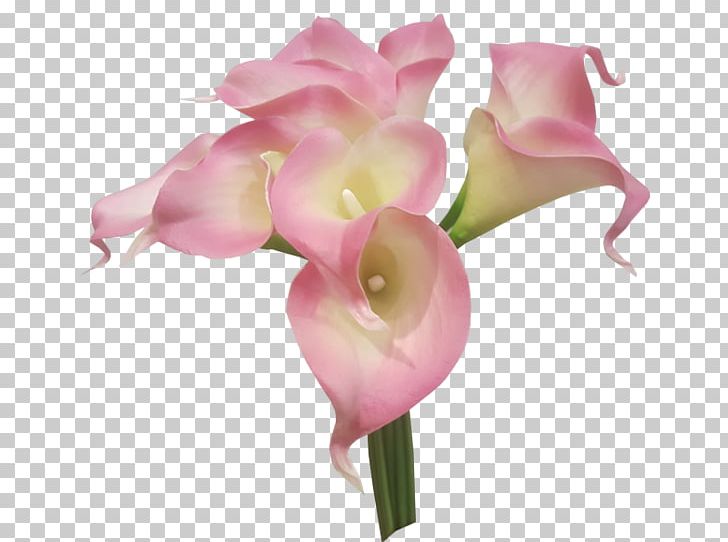Flower Bouquet Cut Flowers Artificial Flower Lilium PNG, Clipart, Artificial Flower, Arum, Arumlily, Bud, Calla Lilly Free PNG Download