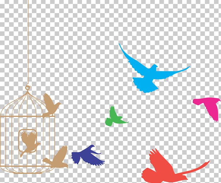 Birds Flying From Cage PNG, Clipart, Animals, Birds, Various Birds Free PNG Download