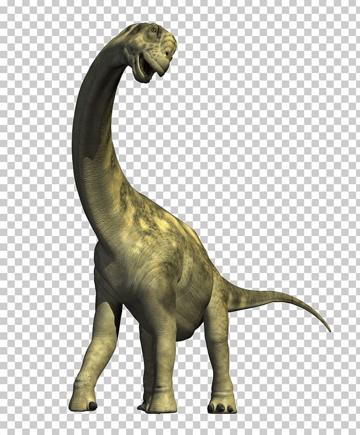 Tyrannosaurus Brachiosaurus Velociraptor Triceratops Jurassic Park,  Brachiosaurus, fauna, terrestrial Animal, jurassic png