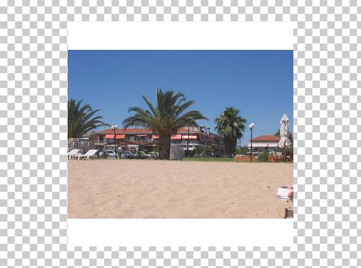 Property Land Lot Real Estate Beach Landscape PNG, Clipart, Area, Beach, Estate, Land Lot, Landscape Free PNG Download