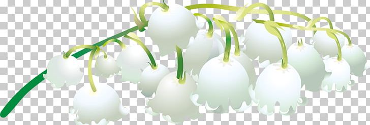 Flower Lilies Madonna Lily Plant Petal PNG, Clipart, Branch, Computer, Computer Wallpaper, Cut Flowers, Family Free PNG Download